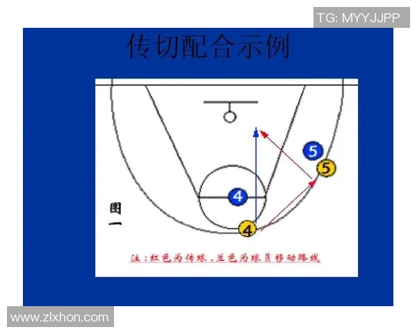 成都排球队的默契配合与战术分析探讨